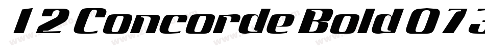 12 Concorde Bold 07319字体转换